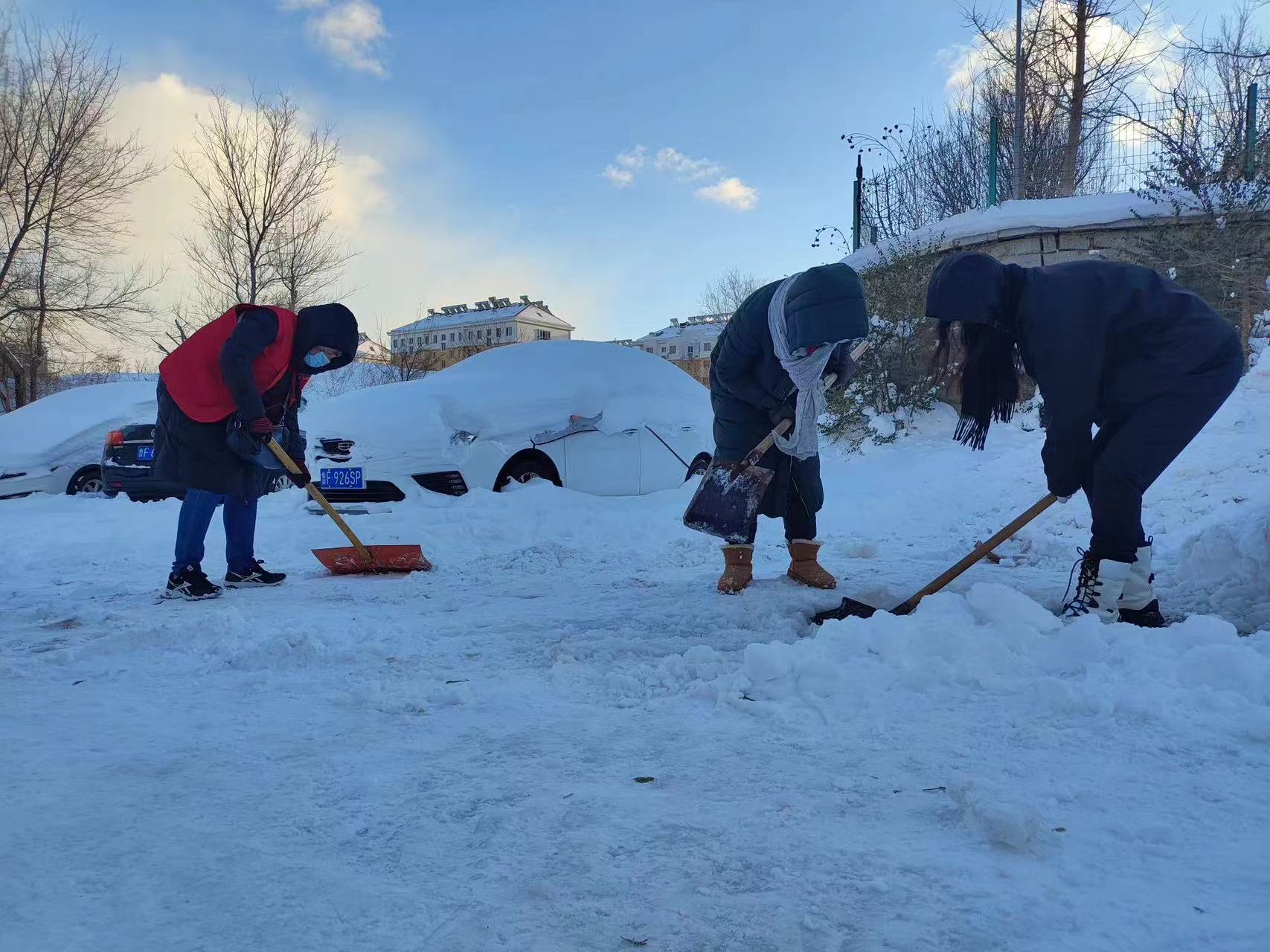 用心為民清雪障 新聞資訊 中國地質博物館煙臺館 煙臺自然博物館